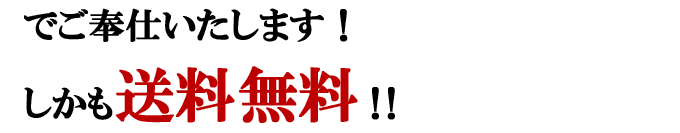 でご奉仕いたします。しかも送料無料!