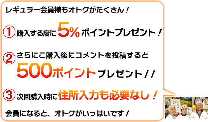 レギュラー会員様もオトクがたくさん!商品購入時に5%ポイント還元!購入後にコメント投稿すると500ポイントプレゼント!