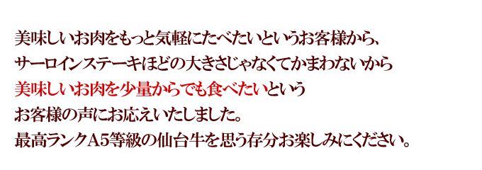 ����������Υץ�ߥ�������������������ơ���